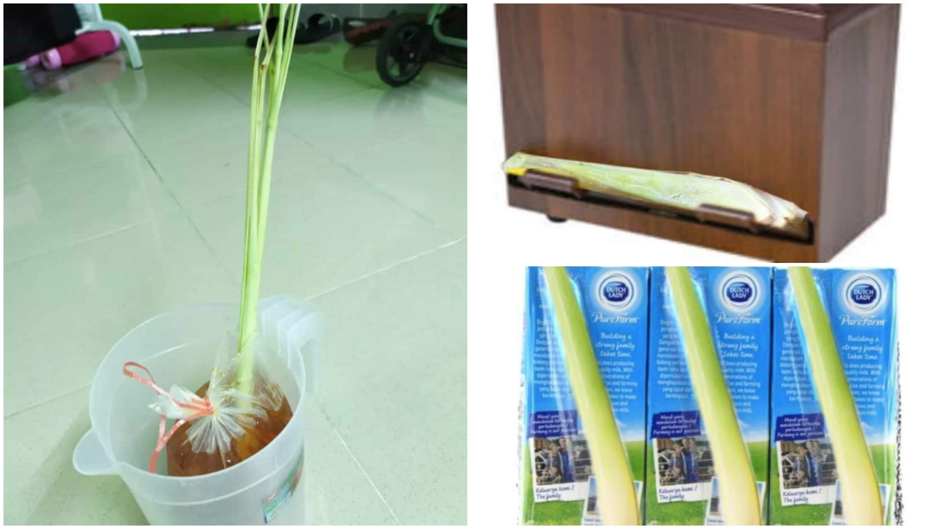 Netizen Troll Cadangan Penggunaan Serai Ganti Straw