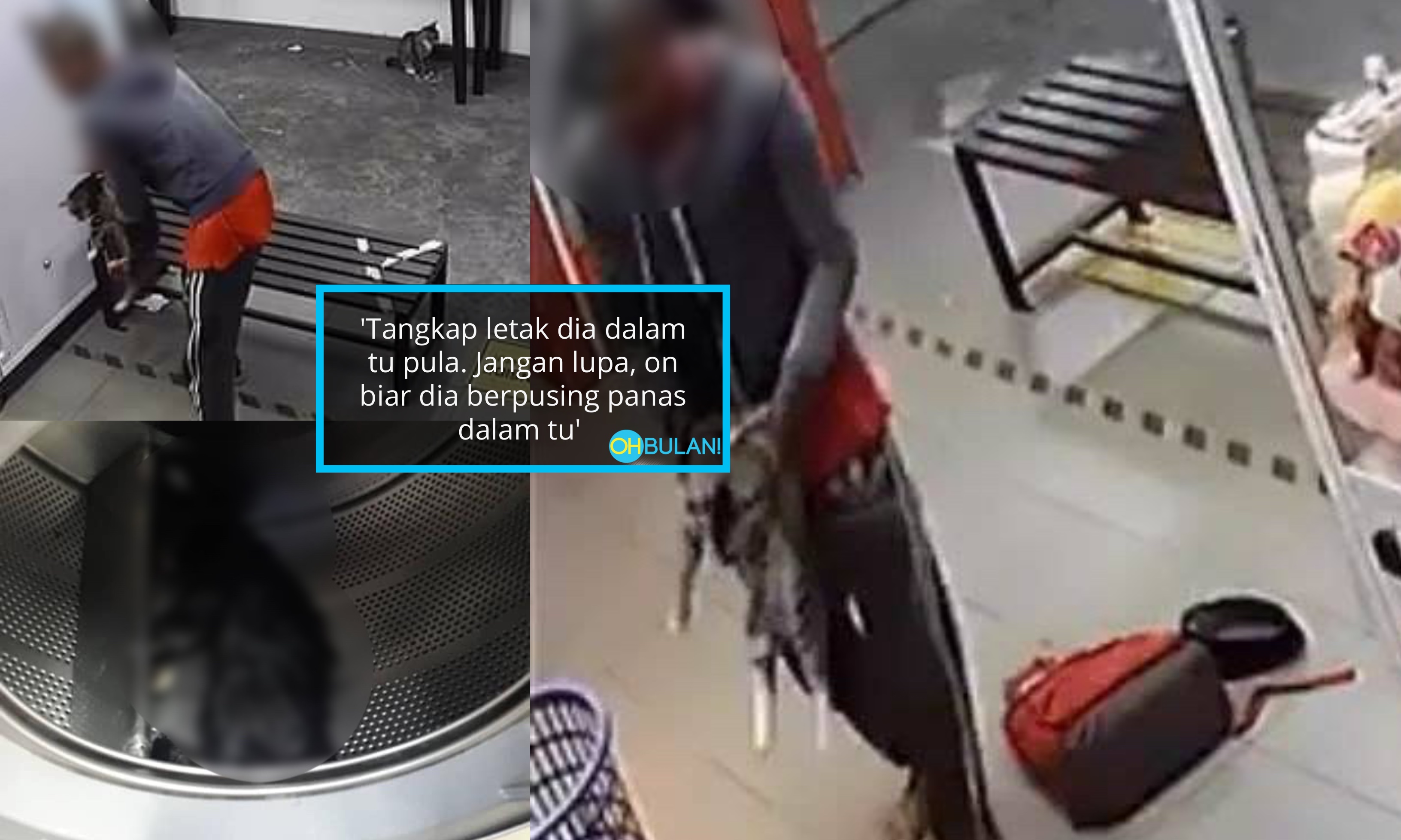 [VIDEO] ‘Sampai 3 Ekor Dia Bunuh…’ – Lelaki Selamba Masukkan Kucing Dalam Mesin Basuh Di Kedai Dobi