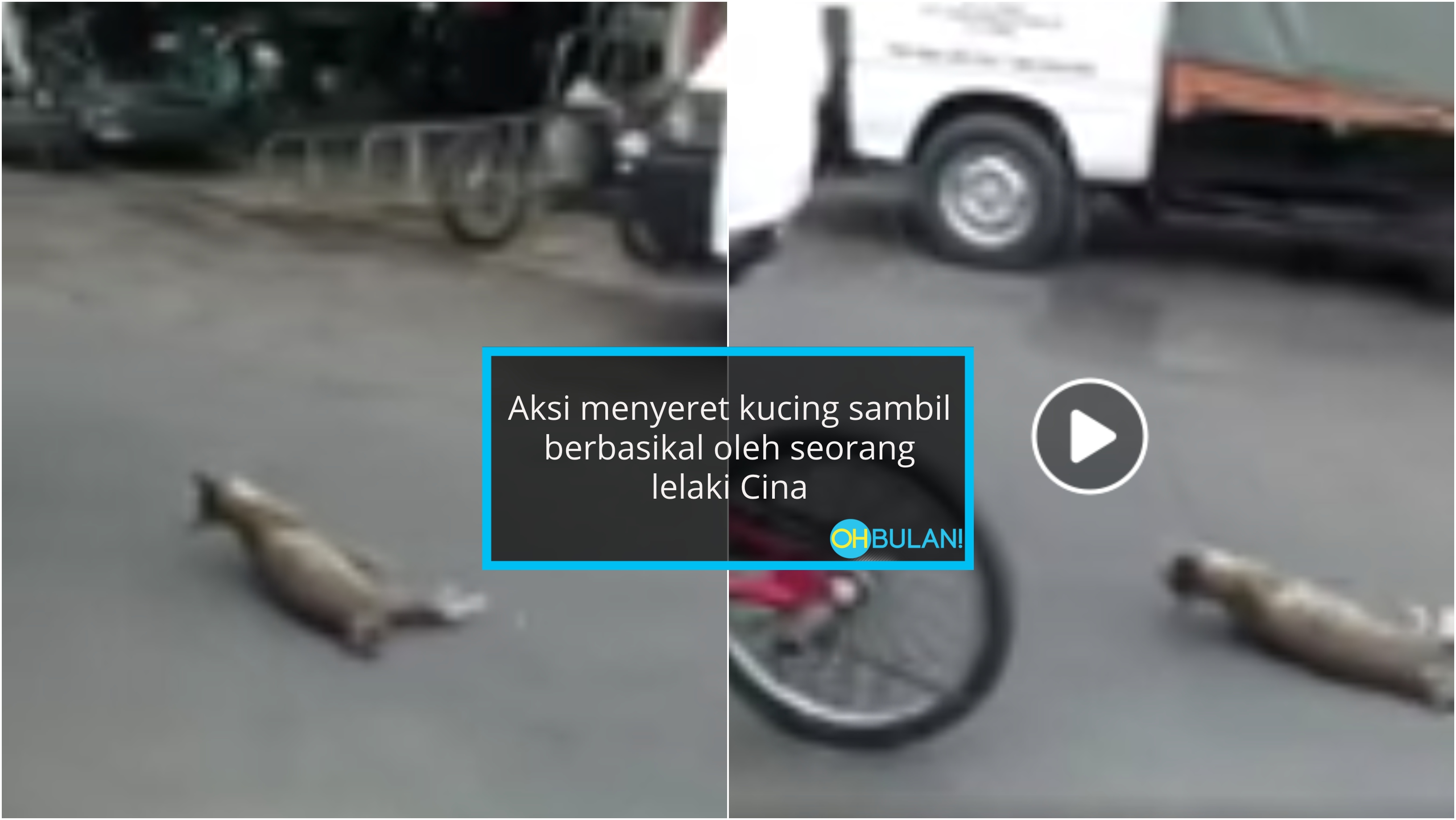 [VIDEO] Tergamaknya Heret Kucing Dengan Basikal….