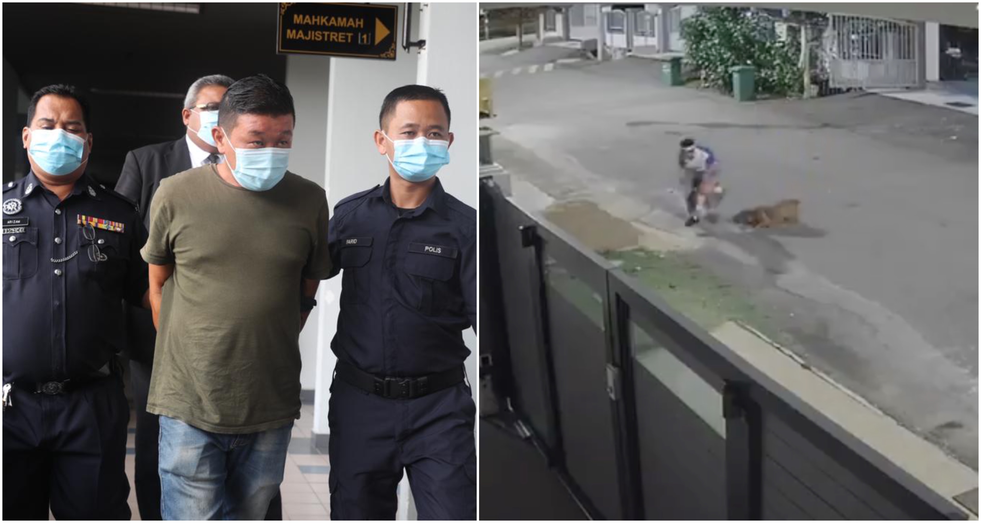 Pemilik Anjing Serang Wanita Didenda RM2000 Sebab Cuai