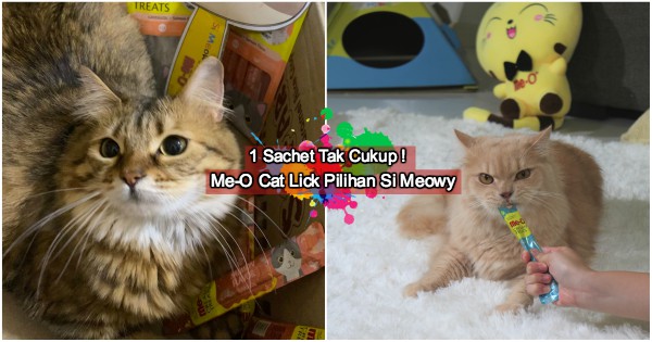 Me-O Cat Lick, Snek Pilihan Ramai Untuk Eratkan Hubungan Bersama Si Meowy