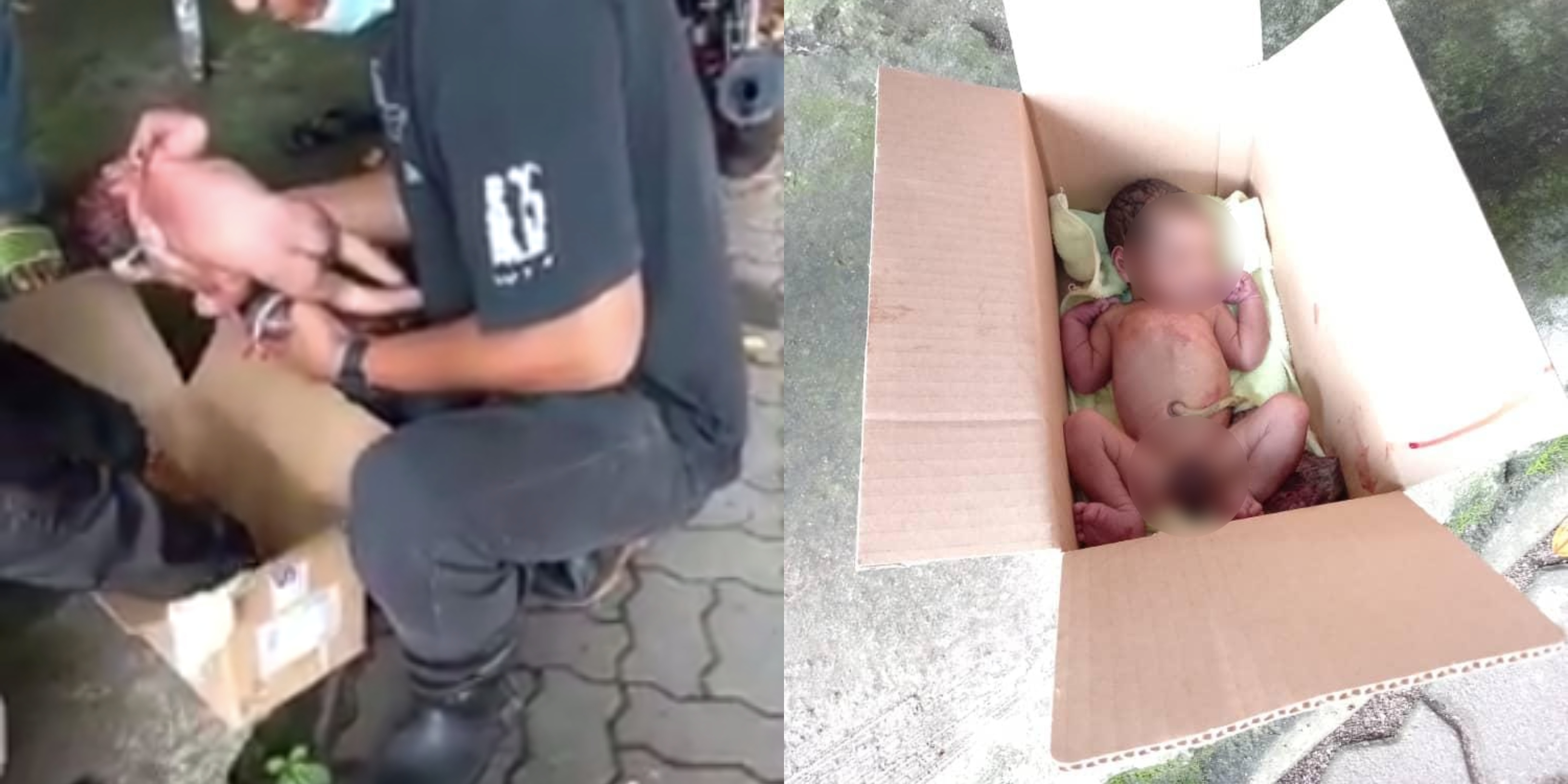 [VIDEO] Sangkakan Anak Kucing, Bayi Masih Bertali Pusat Ditemui Dalam Kotak