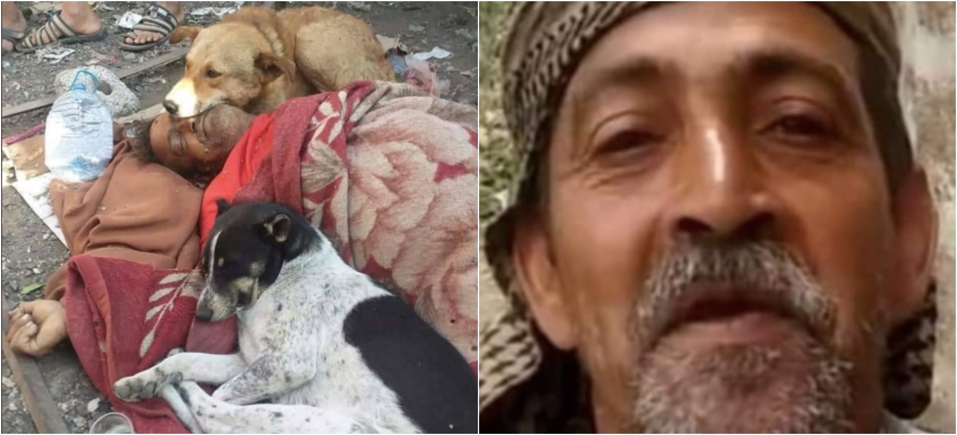 Gelandangan Ditemui Mati ‘Ditemani’ Anjing Jalanan, Rupanya Semasa Hayatnya Suka Beri Binatang Makan