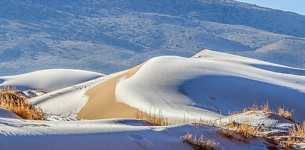 Suhu Mencecah -2 Darjah Celcius, Gurun Sahara Kini Diliputi Salji Putih!