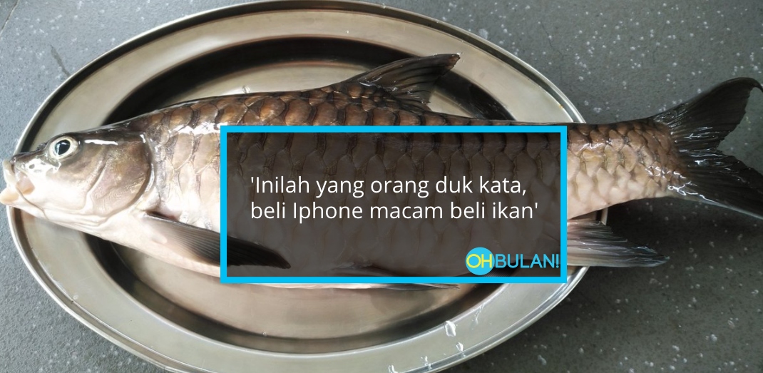 ‘Harga Dia Boleh Angkat Iphone 12…’ – Netizen Terkejut Harga Ikan Sungai Dijual Hampir RM6k!