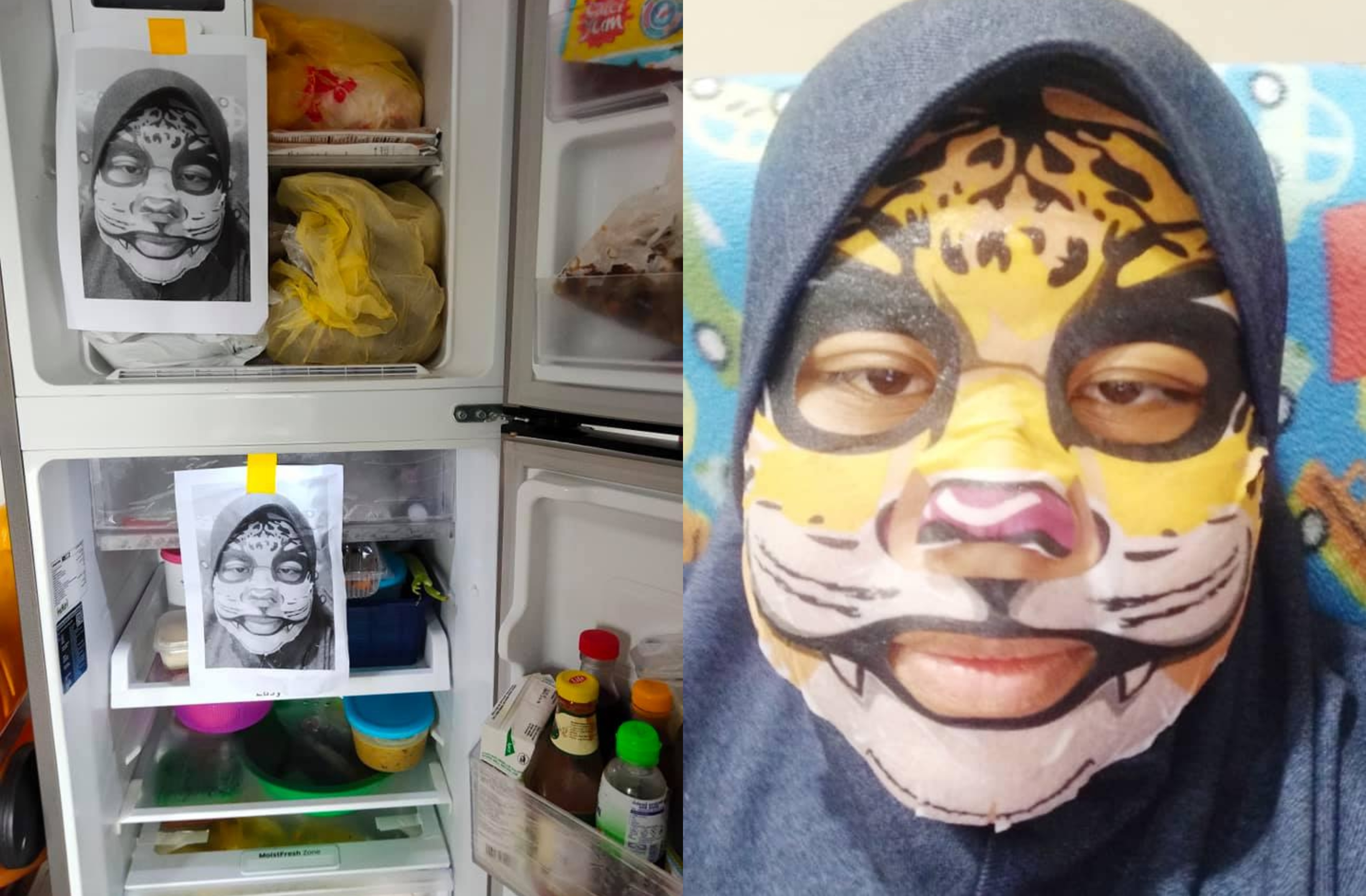 Anak Selalu Buka Peti Ais, Ibu Terpaksa Letak Gambar Maklong ‘Harimau Merenung’