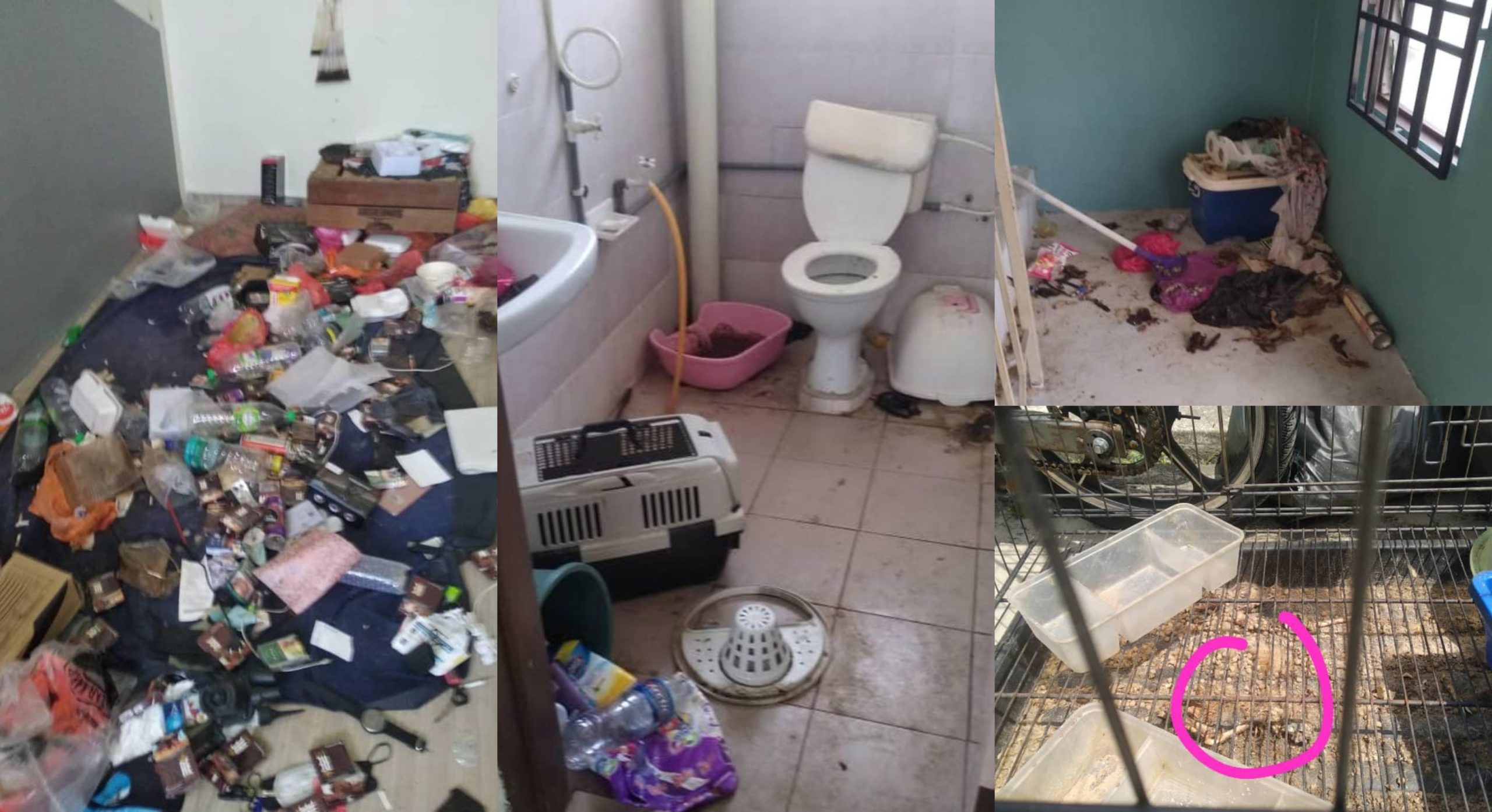 Macam-Macam Alasan Tak Bagi Owner Datang, Rupanya Rumah Penuh Sampah..Siap Ada Bangkai Kucing!