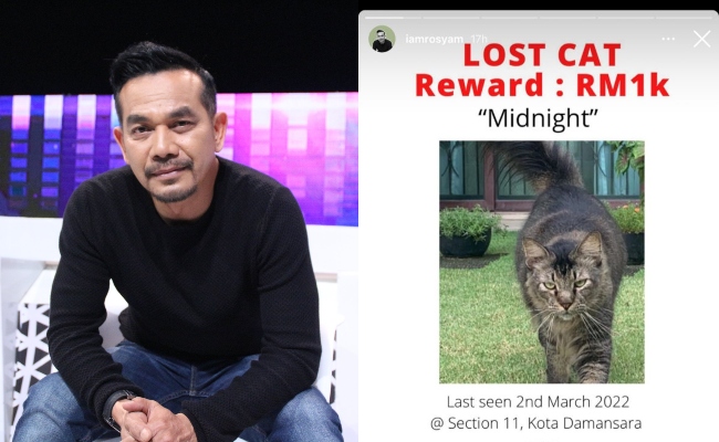 Rosyam Nor Sedih Kucing Hilang, Tawar Ganjaran RM1,000 Kepada Individu Yang Jumpa – ‘Saya Dah Rindu Minta Dipulangkan Semula’