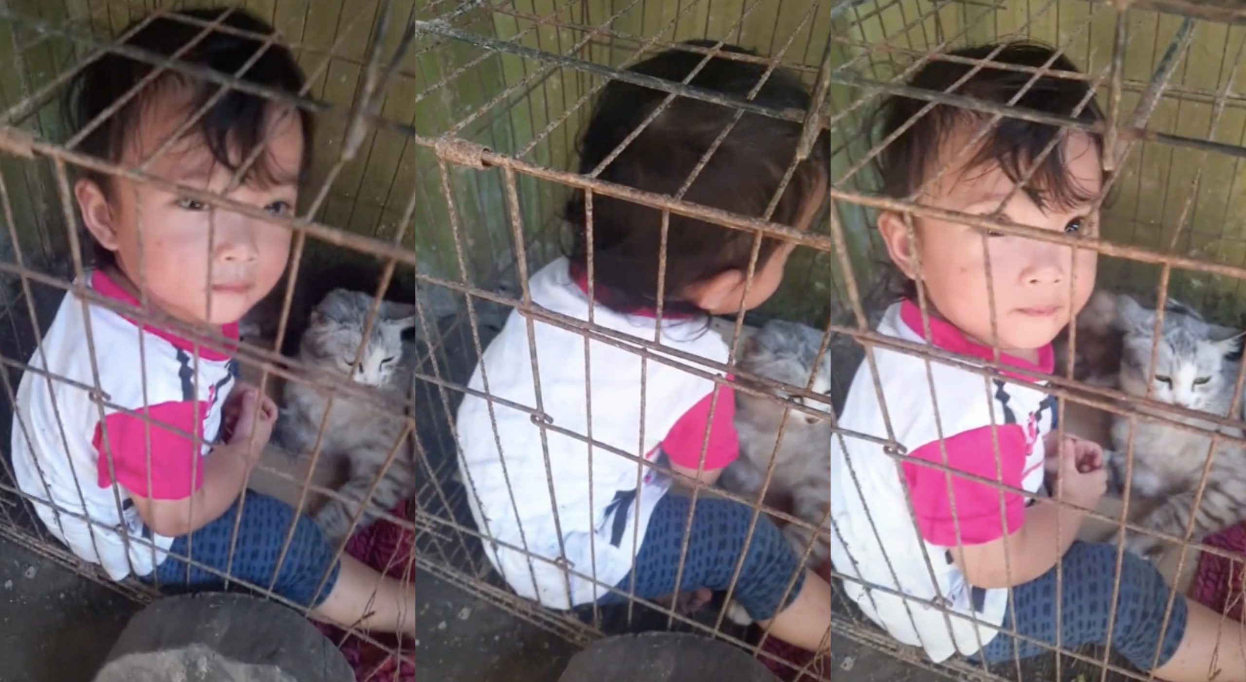 [VIDEO] Nak Marah Tapi Kena Sabar, Anak Diam Rupanya Masuk Sangkar Kucing